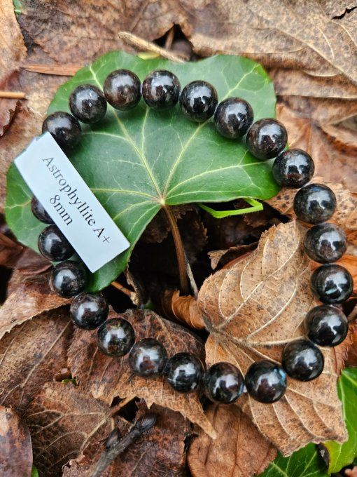 Astrophyllite (NorvègeA+)