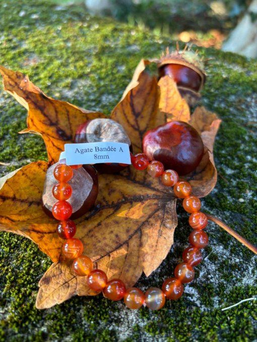 Bracelet Agate bandée (Brésil A)