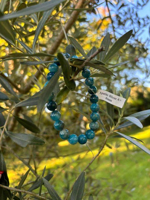Bracelet Apatite bleue (Madagascar A+)