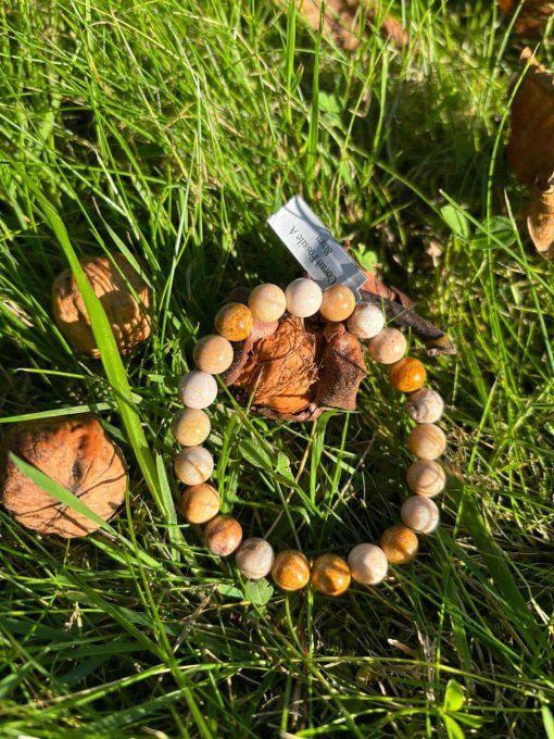 Bracelet Corail Fossile (Indonésie A)