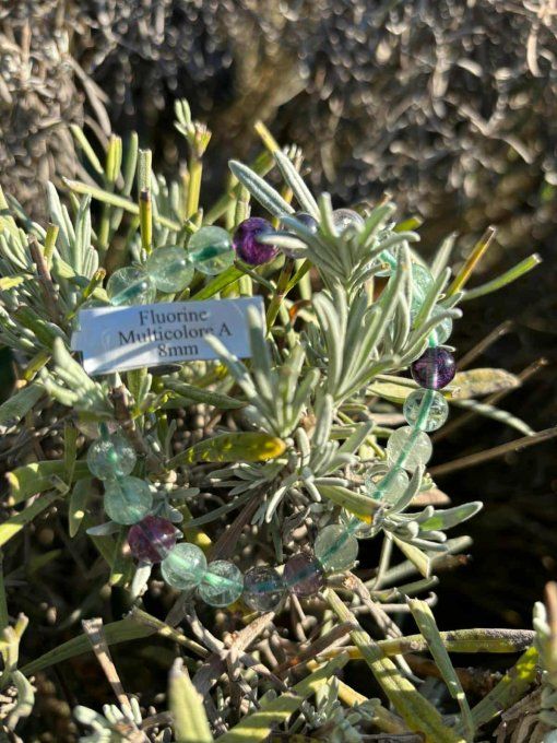 Bracelet Fluorine Multicolore (Chine A)