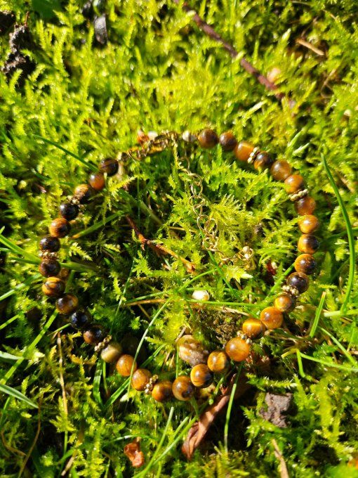 Œil de Tigre HALO Doré (Afrique du Sud A)