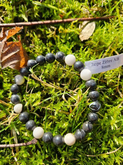 Jaspe Zèbre (Brésil AB)