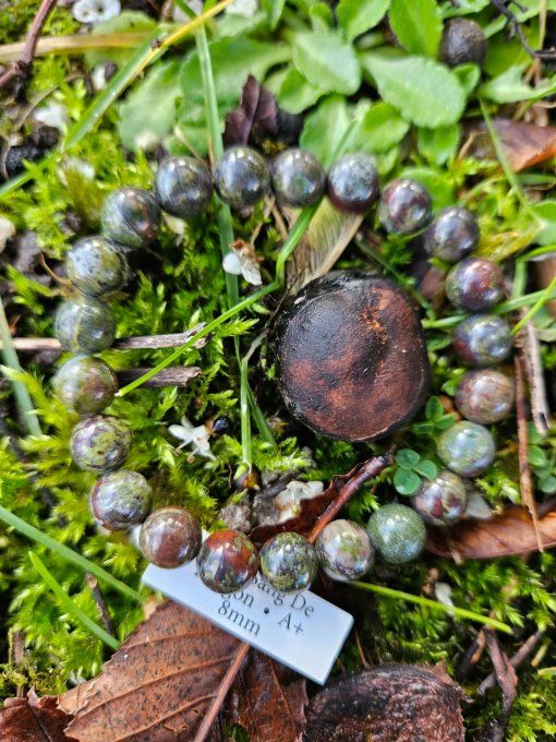 Jaspe sang de Dragon (Brésil A+)