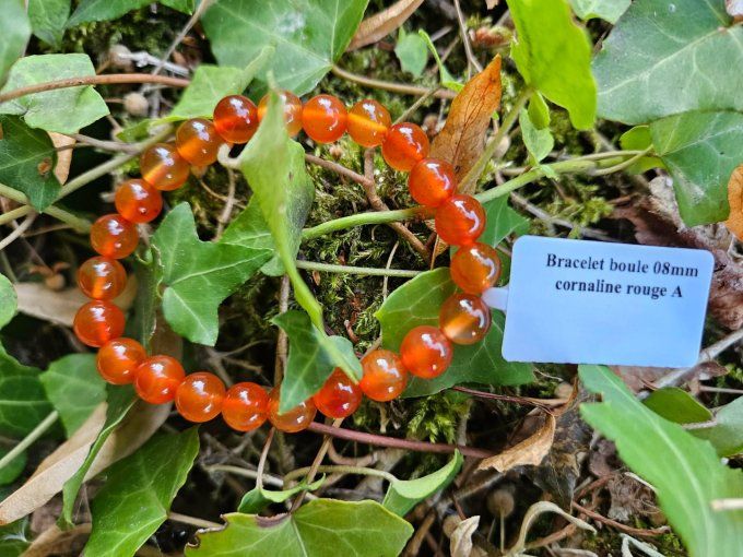 Cornaline rouge (Brésil A)