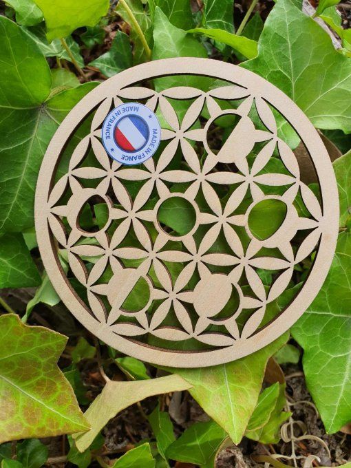 Plaque de rechargement minéraux Fleur de vie 