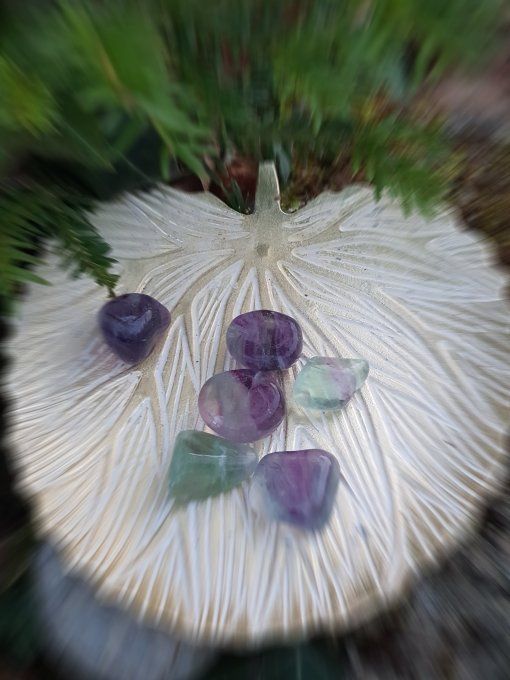 Pierre roulée Fluorine Multicolore (Chine AA)