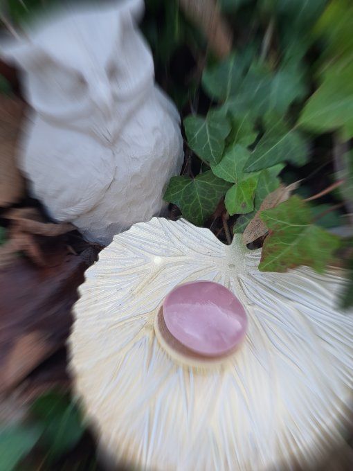 GALET QUARTZ ROSE (Madagascar AA)