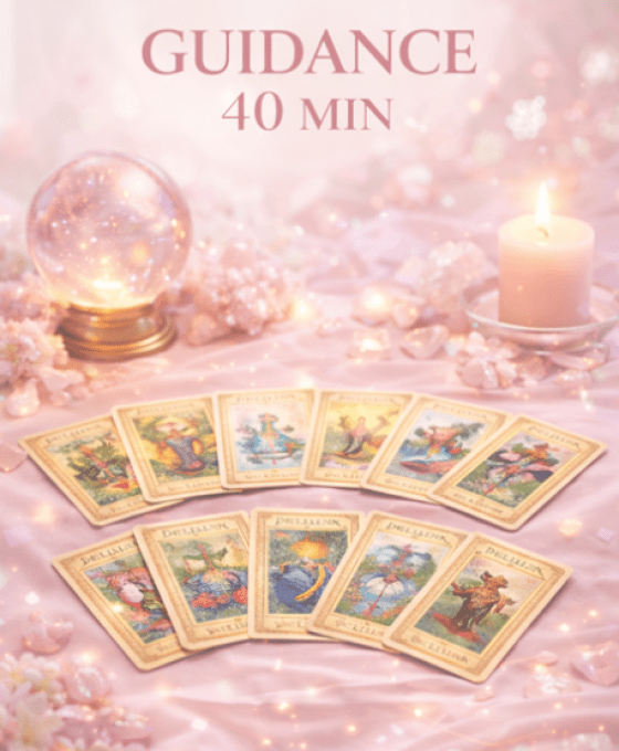 Guidance 1 domaine 40 mns