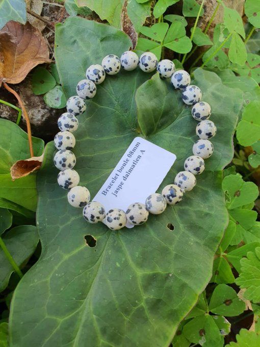 Bracelet Jaspe Dalmatien (Mexique A)