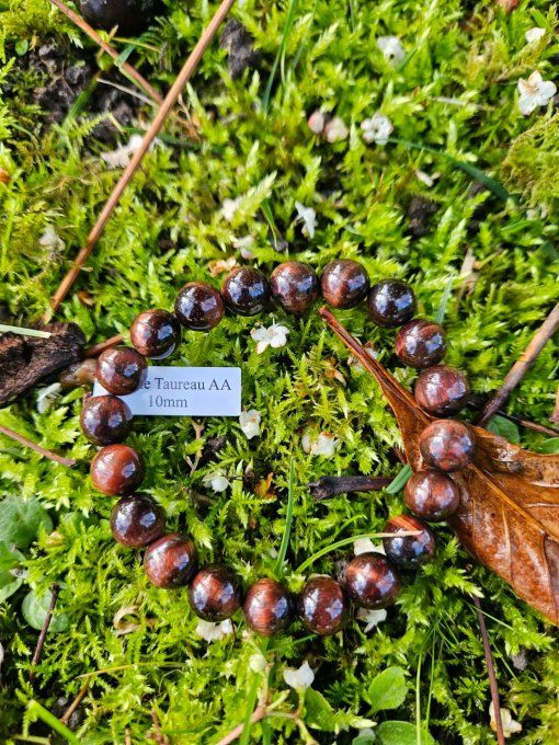 Oeil de Taureau (Afrique du Sud AA boules 10mm)