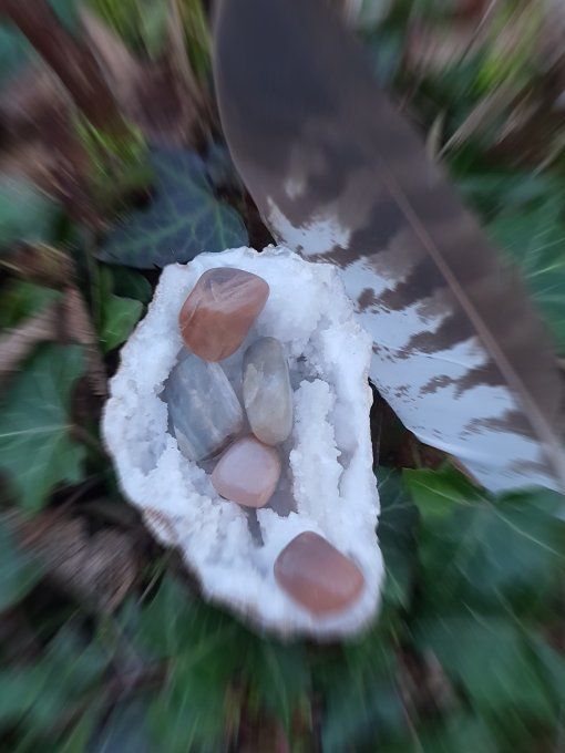 Pierre roulée Pierre de Lune Multicolore (Inde A)