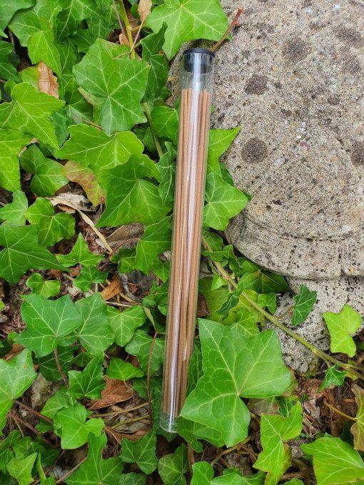 Encens Thuya vieilli (cèdre blanc)