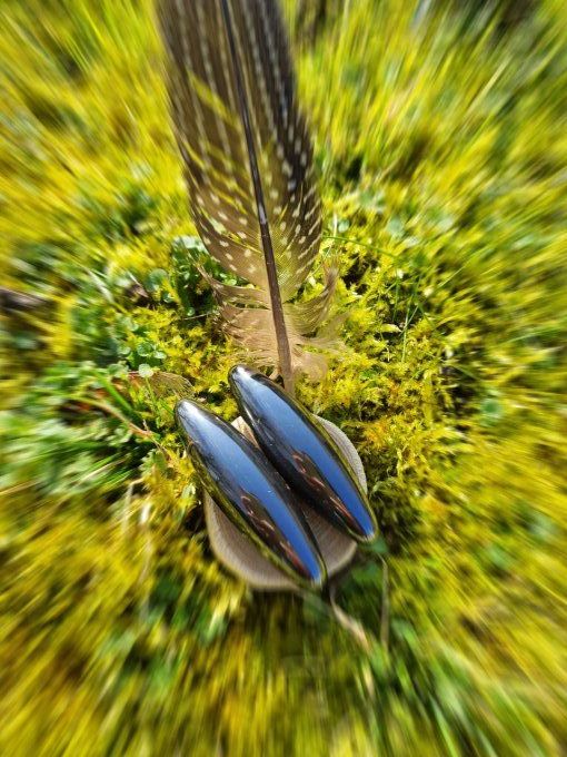 Hématite magnétique (Lot de 2)